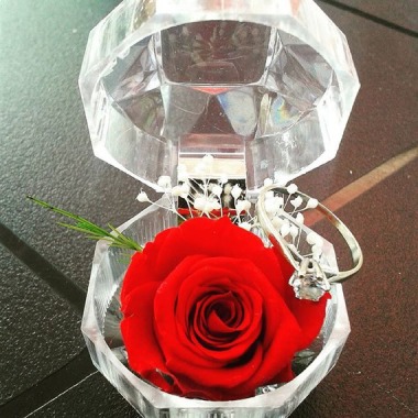accessoires-de-maison-petit-ecrin-diamant-petite-rose-18763320-14031662-301173-jpg-e3a65_570x0 - Copie.jpg