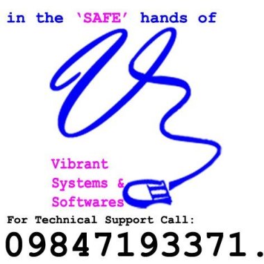 Vibrant Systems And Software