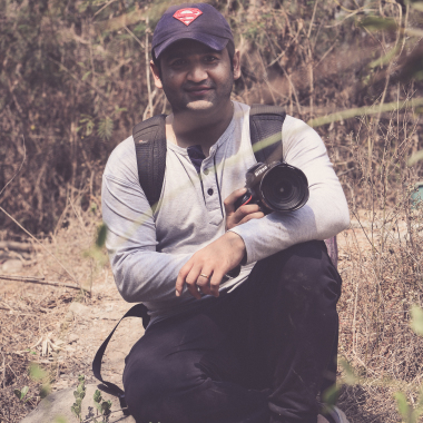 Freelance Photographer