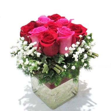 A chic arrangement of red and pink roses in a square glass vase.