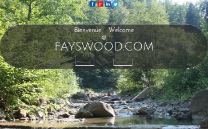 Création de l'identité visuelle et site e-commerce pour le groupe Fayswood.
Création du site, référencement, ....
Site en Français et Anglais.
http://fayswood.com