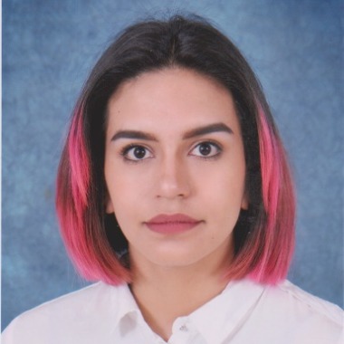 Profesor De Música Y Artes