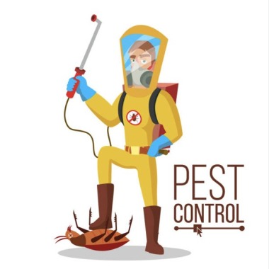 Pest Control Alexandra Headland