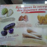 Adda  Cuisinier Patissier