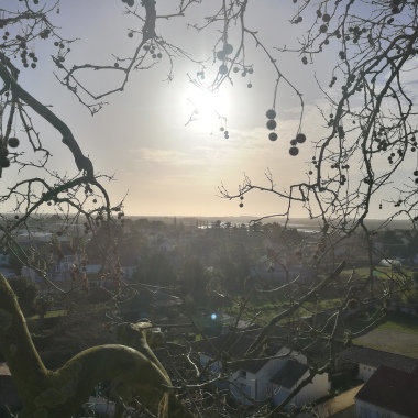 Vus D'En Haut