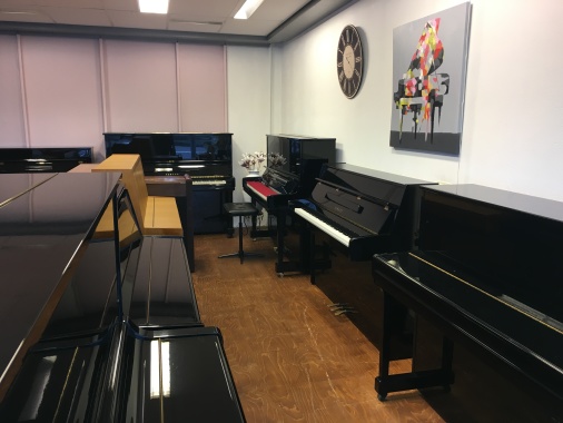 Schumacher piano service winkel
