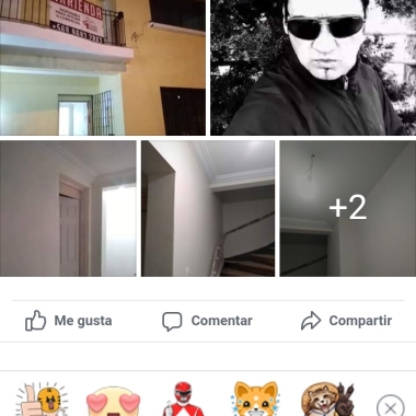 Mauro Pintura