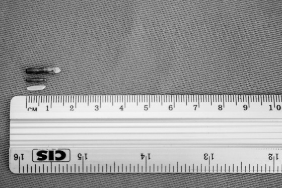 O menor microchip do mundo: tecnologia exclusiva zootrack. Na foto: comparação entre o microchip tradicional, microchip zootrack e um grão de arroz.