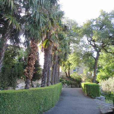 Mon Jardinier