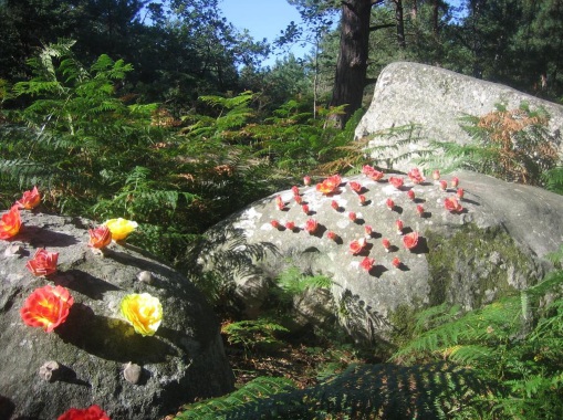 Land art... Mise en scène pour un événement en forêt