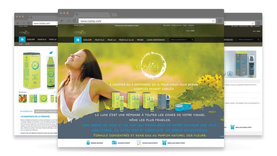 Création de l'identité visuelle, création du site web responsive, création et impression du packaging