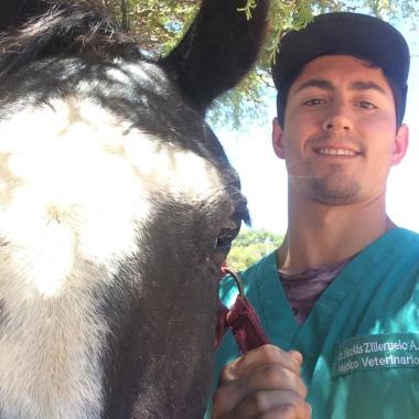 Dr. Nicolás Zilleruelo Veterinario A Domicilio