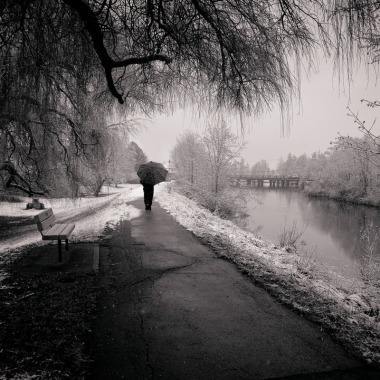 Lyndon Cassell Photography