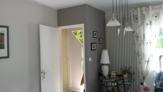 Peinture murs et  plafond