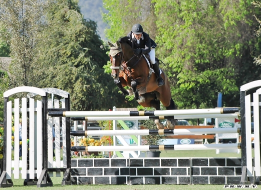 Equitacion, Sud America