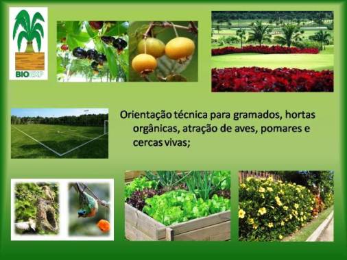 Especialidades BIOEXP