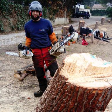 Elmam Arbre Et Jardin