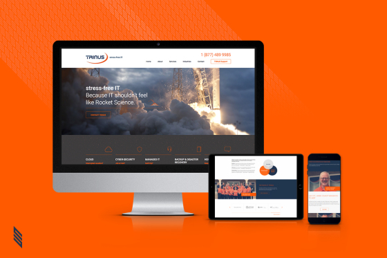 TRINUS website and animated series