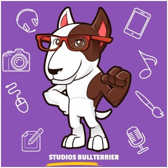 Studiosbullterrier