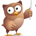 Wise Owl Business Solutions Ltd