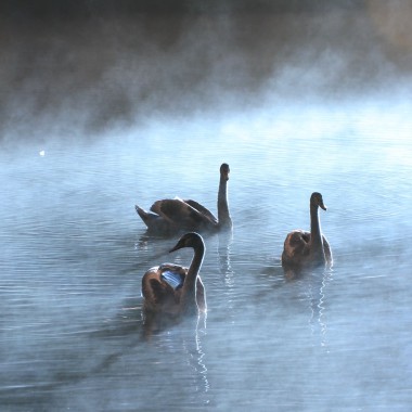 Jonathan Photographe