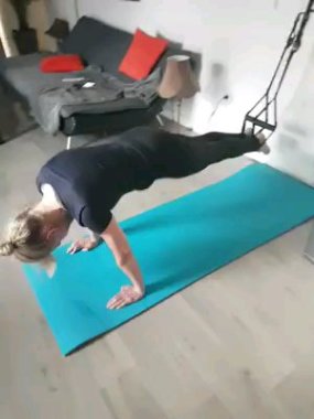Travail de la sangle abdominale, des bras et des jambes  ( gainage )