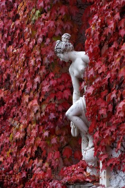 Herbst