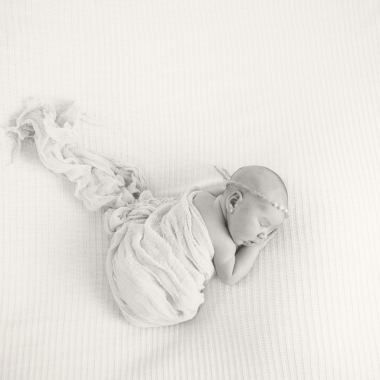 Pik-A-Boo Photographie