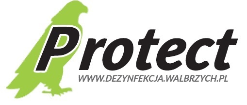 Profesjonalne usługi DDD