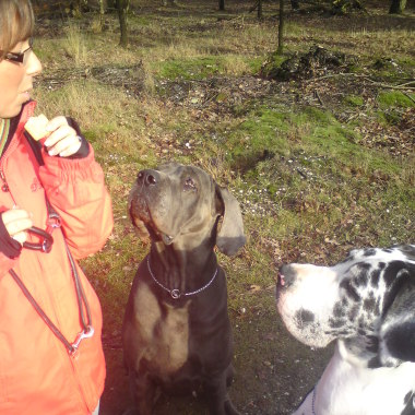 Puppytalk