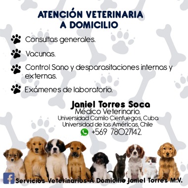 Servicios Veterinarios Janiel Torres M.V
