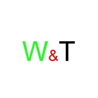 Wash&Tint