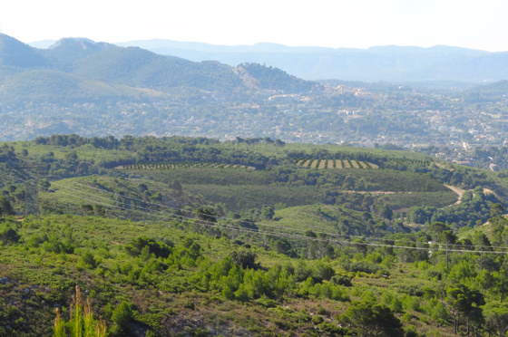 Carrière de Palama