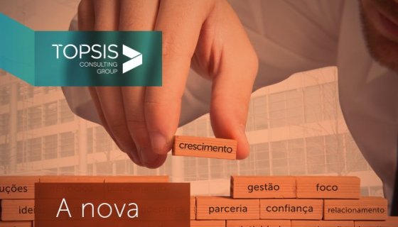 Topsis  Consulting Group.jpg