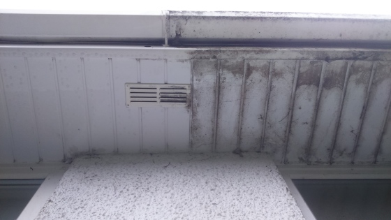 Gutters, Facais and Soffits Cleaned.