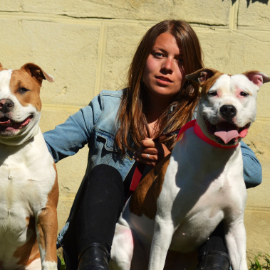 Sym Dog Pyrénées-Orientales