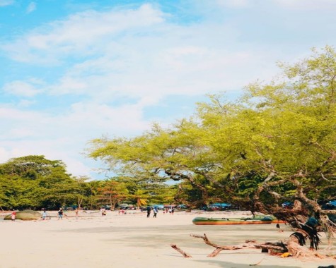 Pantai Tanjung Tinggi