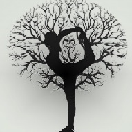 Vinyasafrancesca - Cours De Yoga 