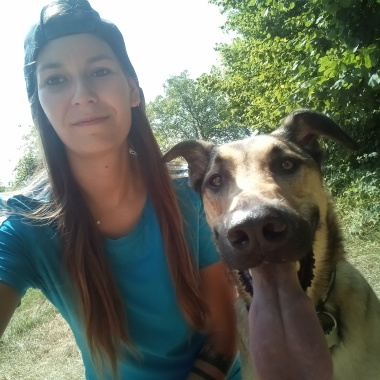 Alpidog