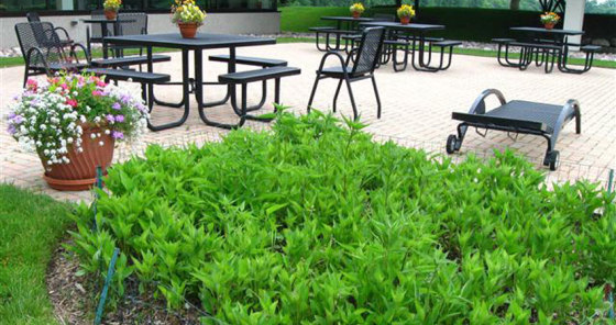 We have a long term staff of experienced landscapers who have allowed us to continuously grow in the commercial/industrial market.