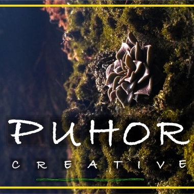 Puhor Creative