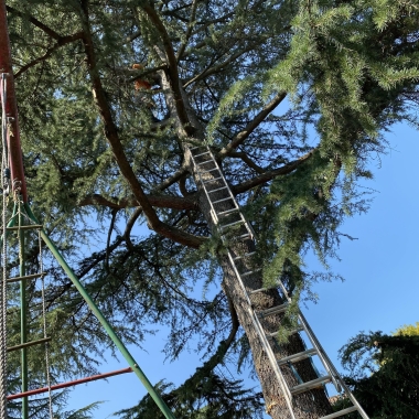 Leman Espace Verts