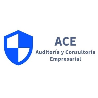 Auditoría Y Consultoría Empresarial