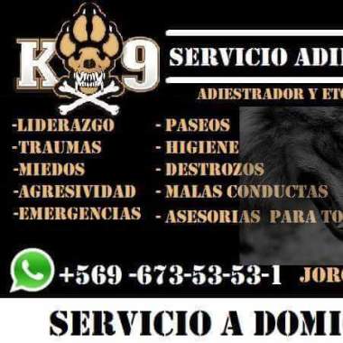#Adiestramiento#canino#
