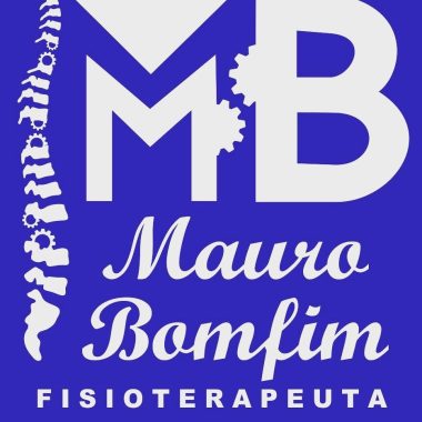 Mauro Bom Fim Fisioterapeuta Do Movimento