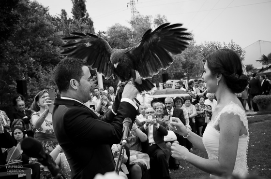 BODA. Aspe.