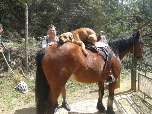 YAYA sobre su amiga CANELA