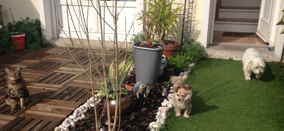 vive le jardin, profitons du grand air