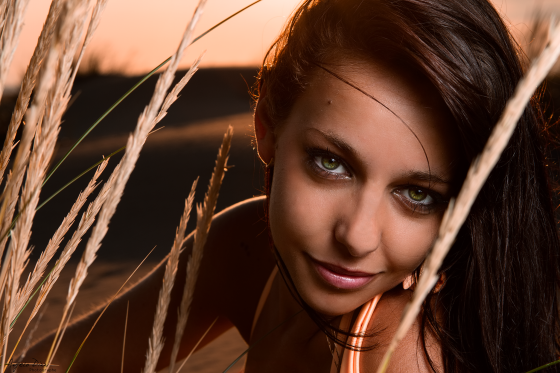 Gypsy spirit
