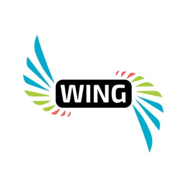 Fancy Wings